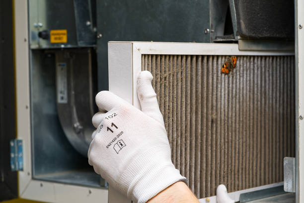 Best Air Duct Mold Removal  in Stallion Springs, CA