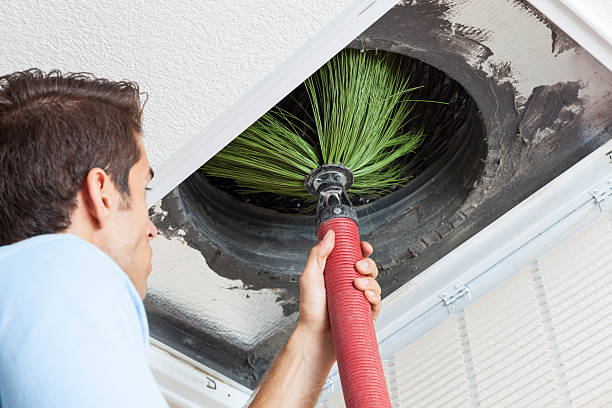 Air Duct Mold Removal in Stallion Springs, CA
